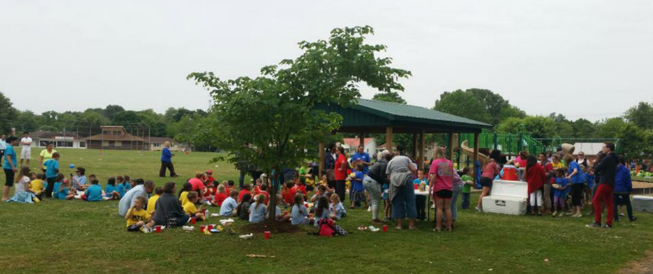 martin primary school