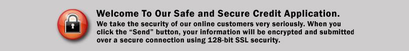Safe & secure credit application