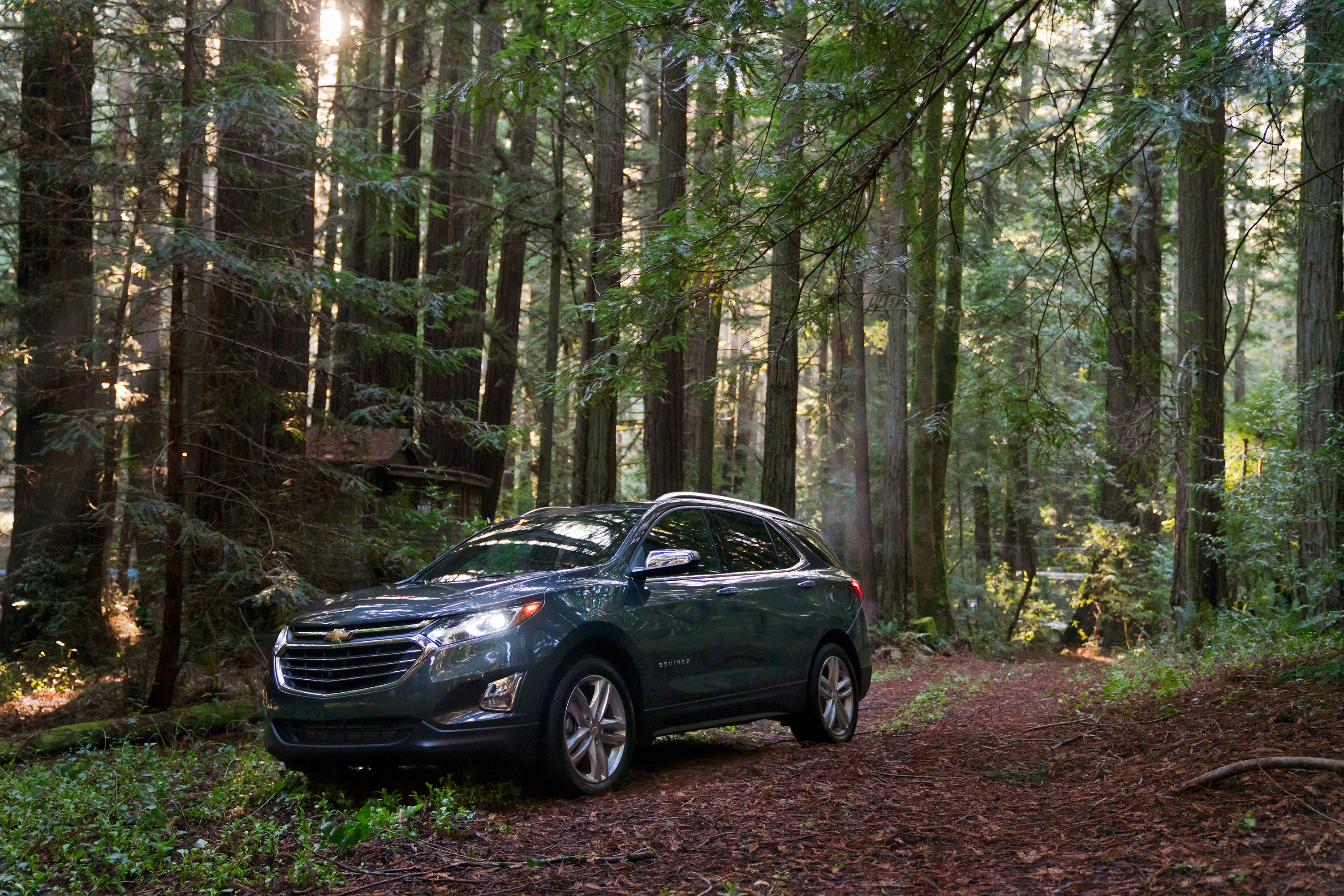 2019 Chevrolet Equinox in Jamestown, New York