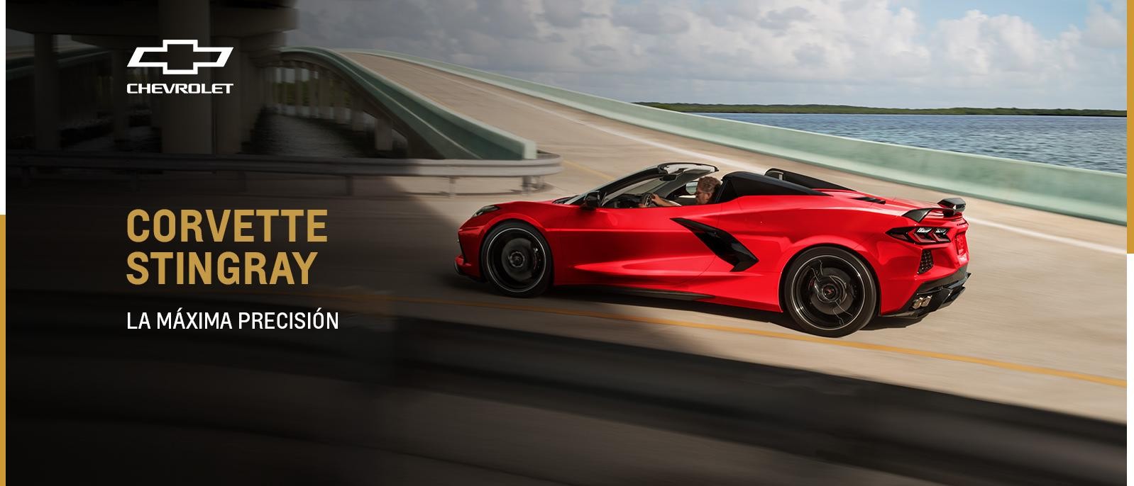 LA MÁXIMA PRECISIÓN