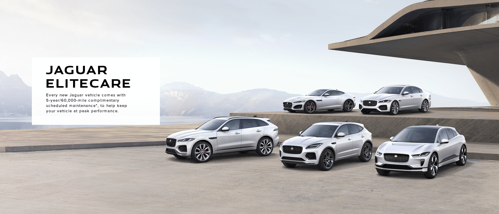 Jaguar Elitecare