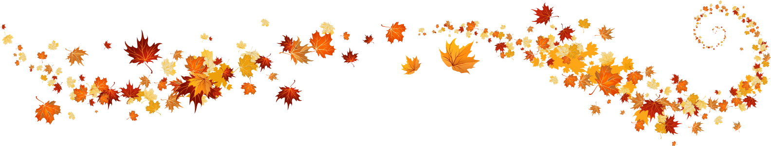 Fall Colored Leaves