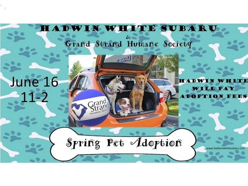 GSHS Pet Adoption