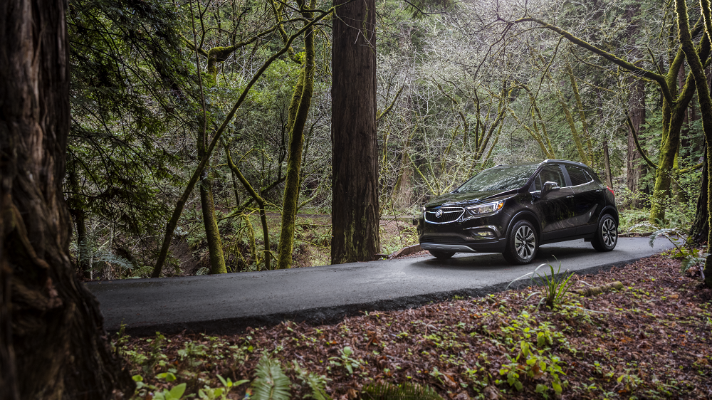 2019 Buick Encore Ebony Twilight Metallic