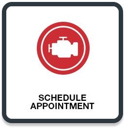Schedule an Appointment
