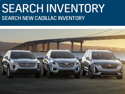 Search Inventory