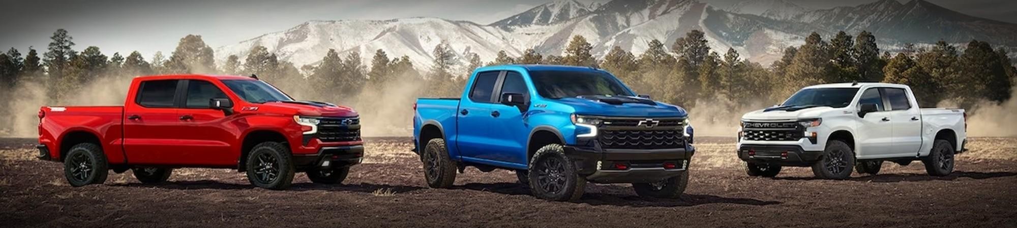 Silverado 1500 Banner | Mudd