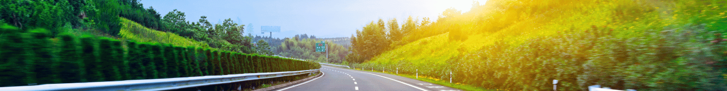 A road in spring or summer