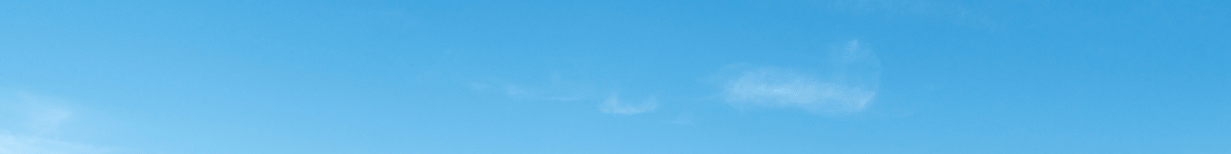 A road in spring or summer