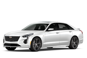 CT6_Silver_Jelly