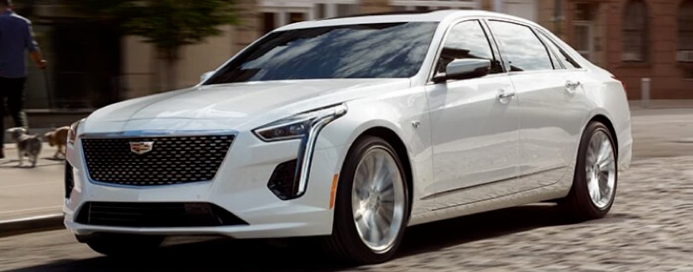 A white 2020 Cadillac CT6, which will be popular among used Cadillacs in Fort Worth, TX, is driving on a city street.