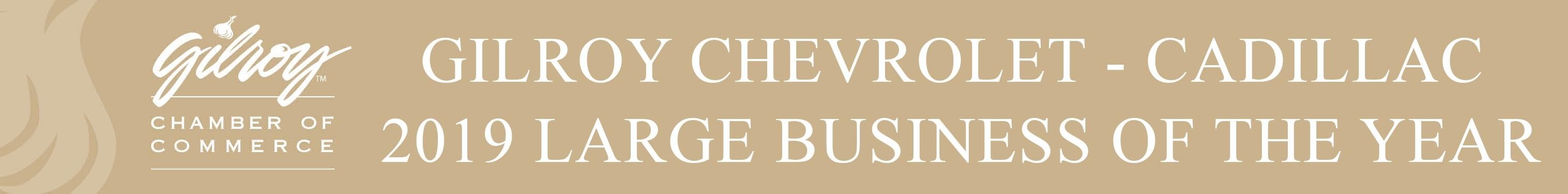 Large business of 2019