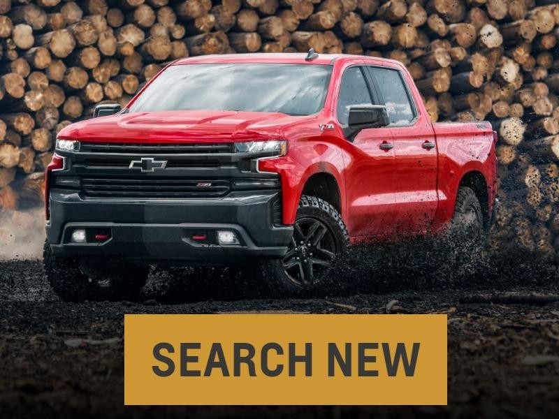 Search New