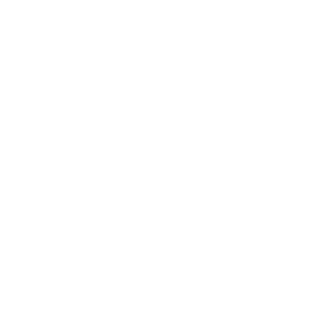 Total Fleet Management Solutions