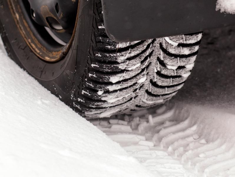 Snowy Tree Lined Path