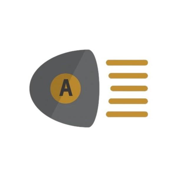 Intellibeam® Auto High Beam Assist