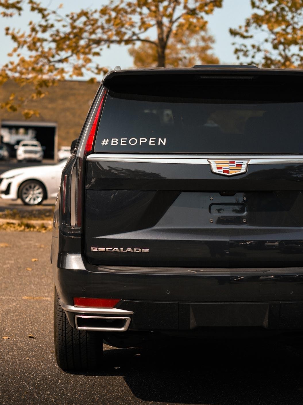 Cadillac Official vehicle