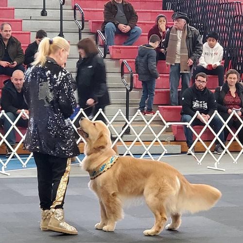 March | Long Island Pet Expo | image 3