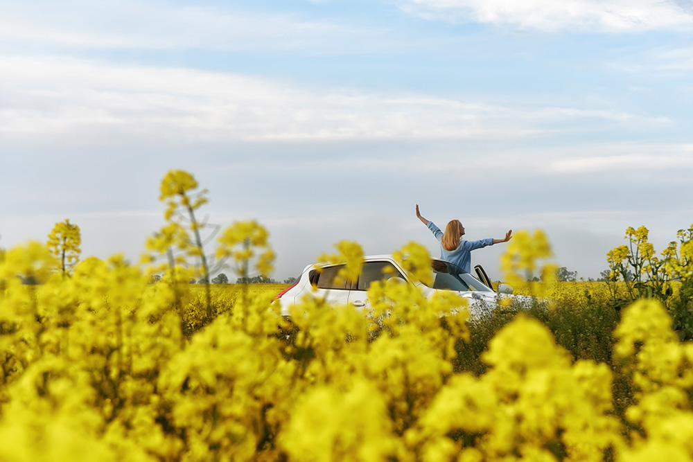 Woman driving a car in a field