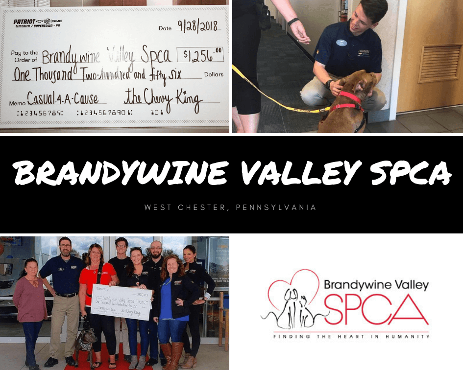 Brandywine Valley SPCA