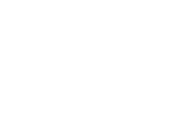 Vehicle sale icon