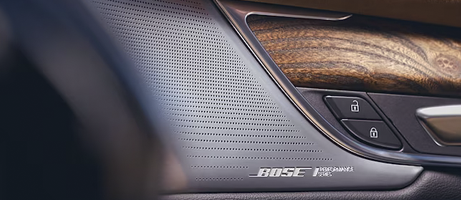 bose audio system