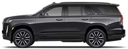 sport platinum