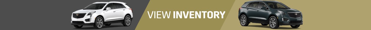 VIEW inventory