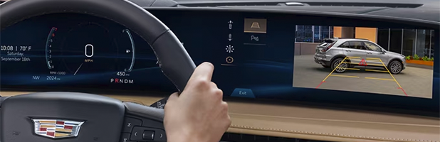 REAR PARK ASSIST