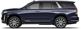 premium luxury platinum