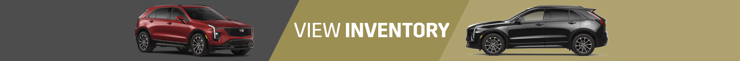VIEW inventory