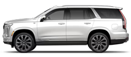 premium luxury platinum