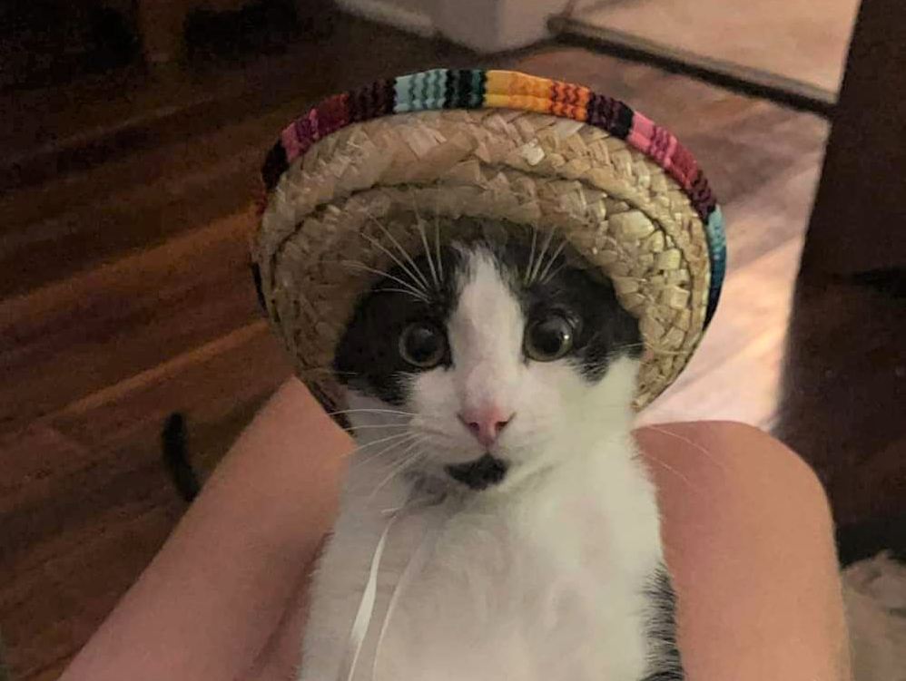 Happy woman behind steering wheel, driving