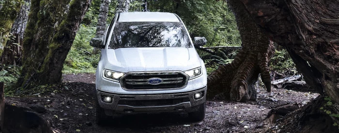 A white 2022 Ford Ranger Lariat is off-roading on a forest trail.