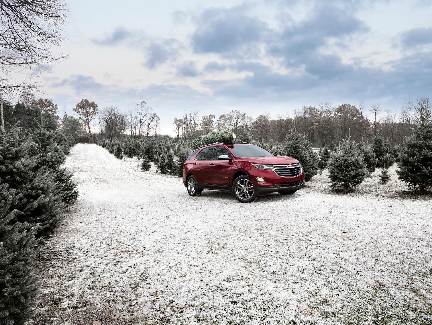 Chevrolet Equinox Performance 