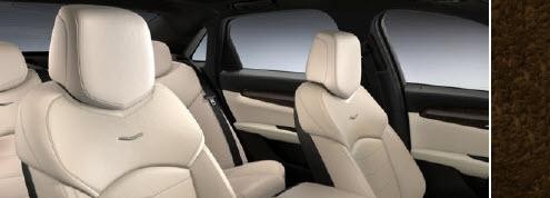SAHARA BEIGE / JET BLACK ACCENTS Leather Seating Surfaces
