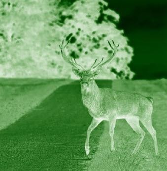 NIGHT VISION