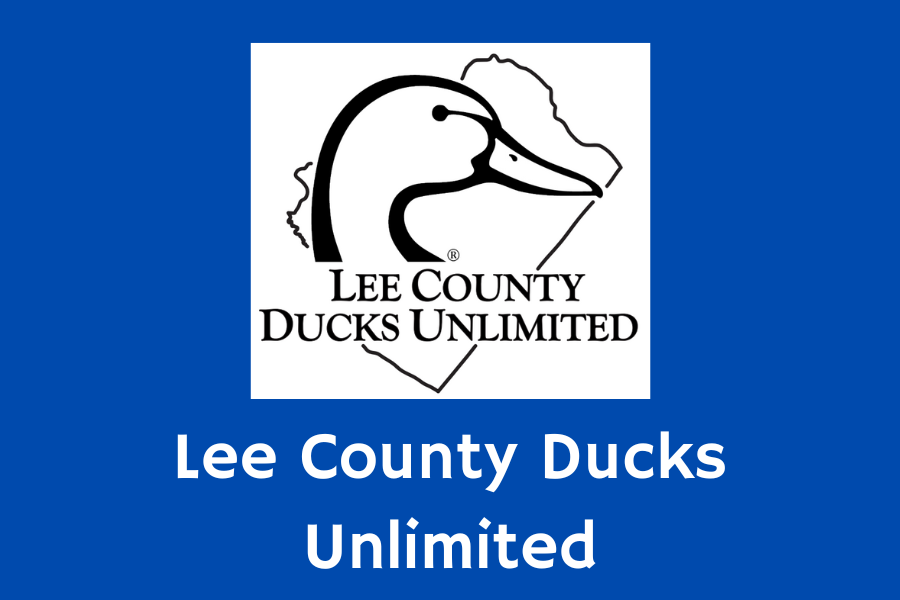 Ducks unlimited