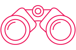 icon of binoculars