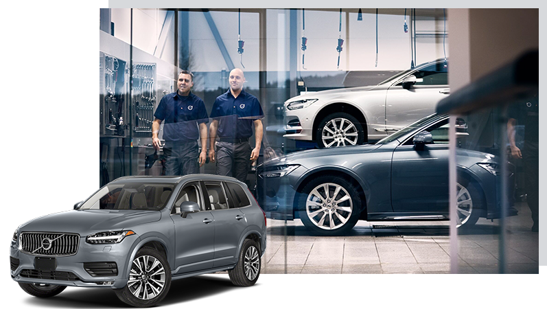 Team photo of professional staff with drop shadow and grey background effect