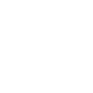 Synthetic Oil Change