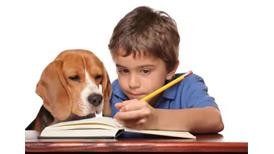 We have a children's