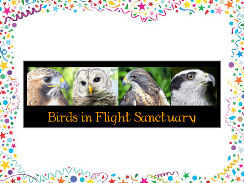 Birds in Flight Sanctuary