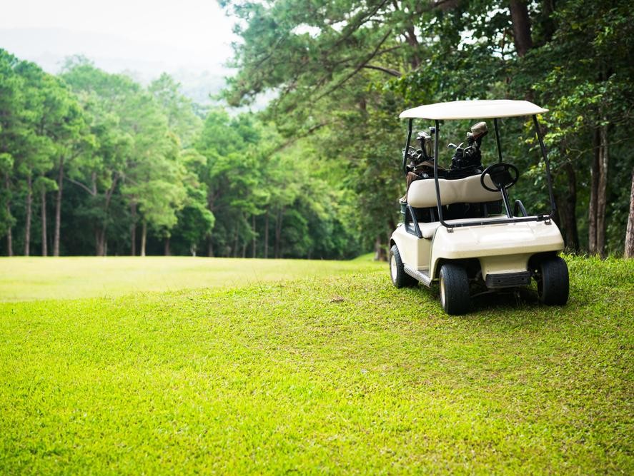 Gray Eagle Golf Cart