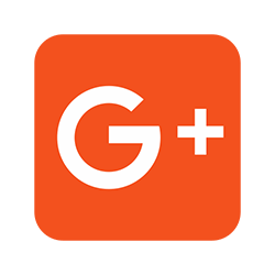 Google Icon