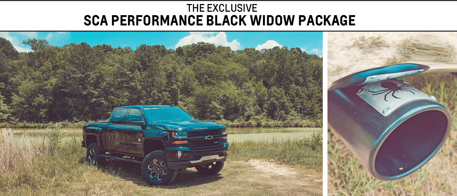 Black Widow