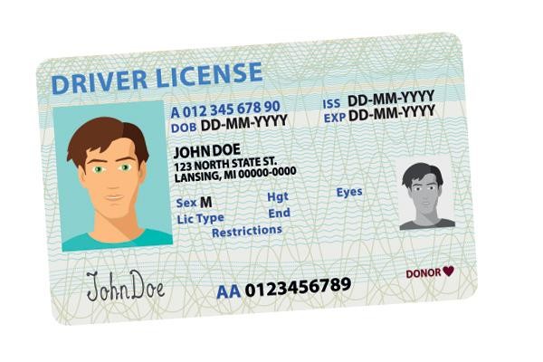 Driver's License