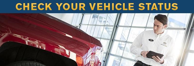 check your vehicle status
